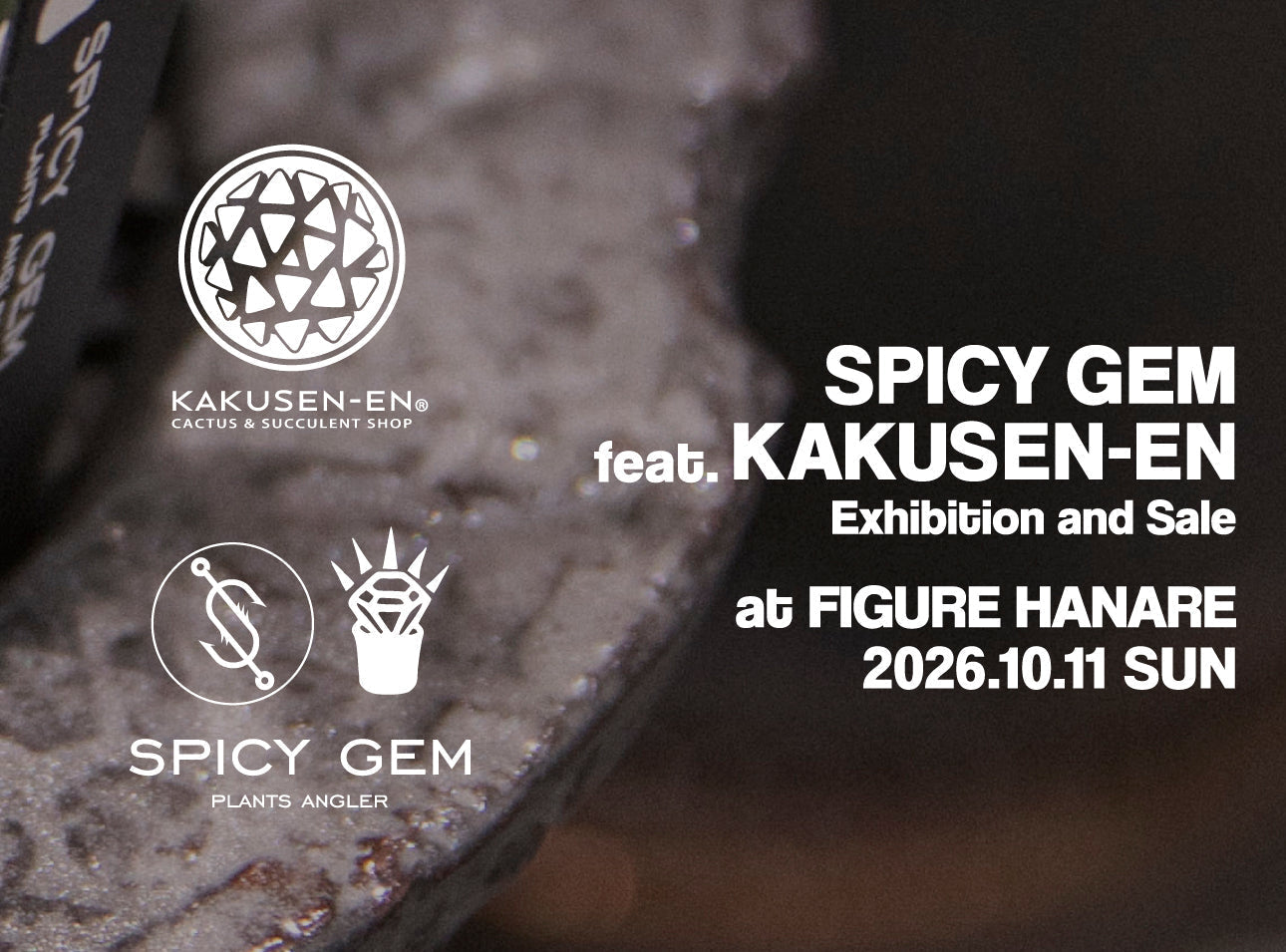 SPICY GEM FEAT. KAKUSEN-EN at FIGURE HANARE
