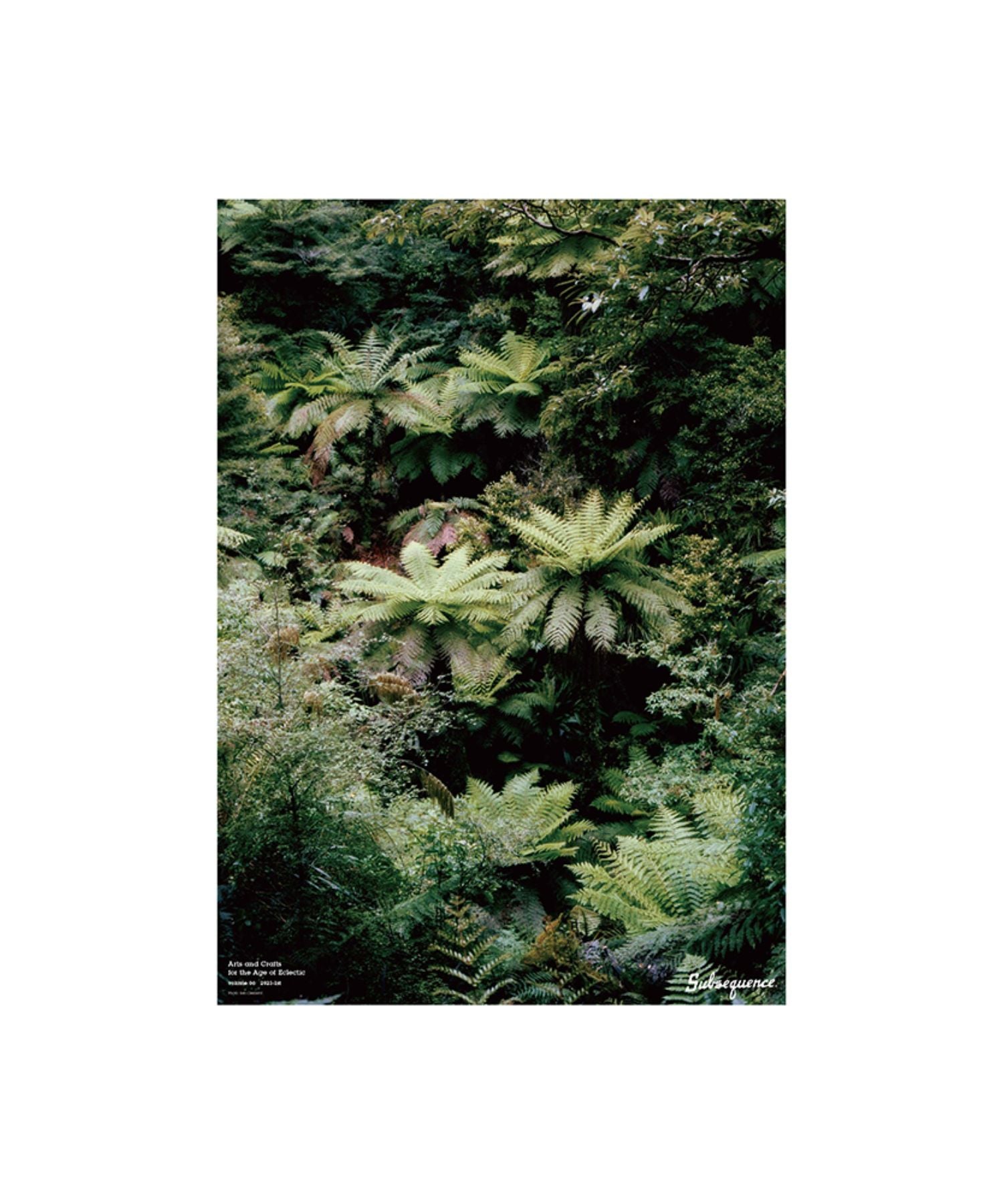 Subsequence Magazine Vol.6