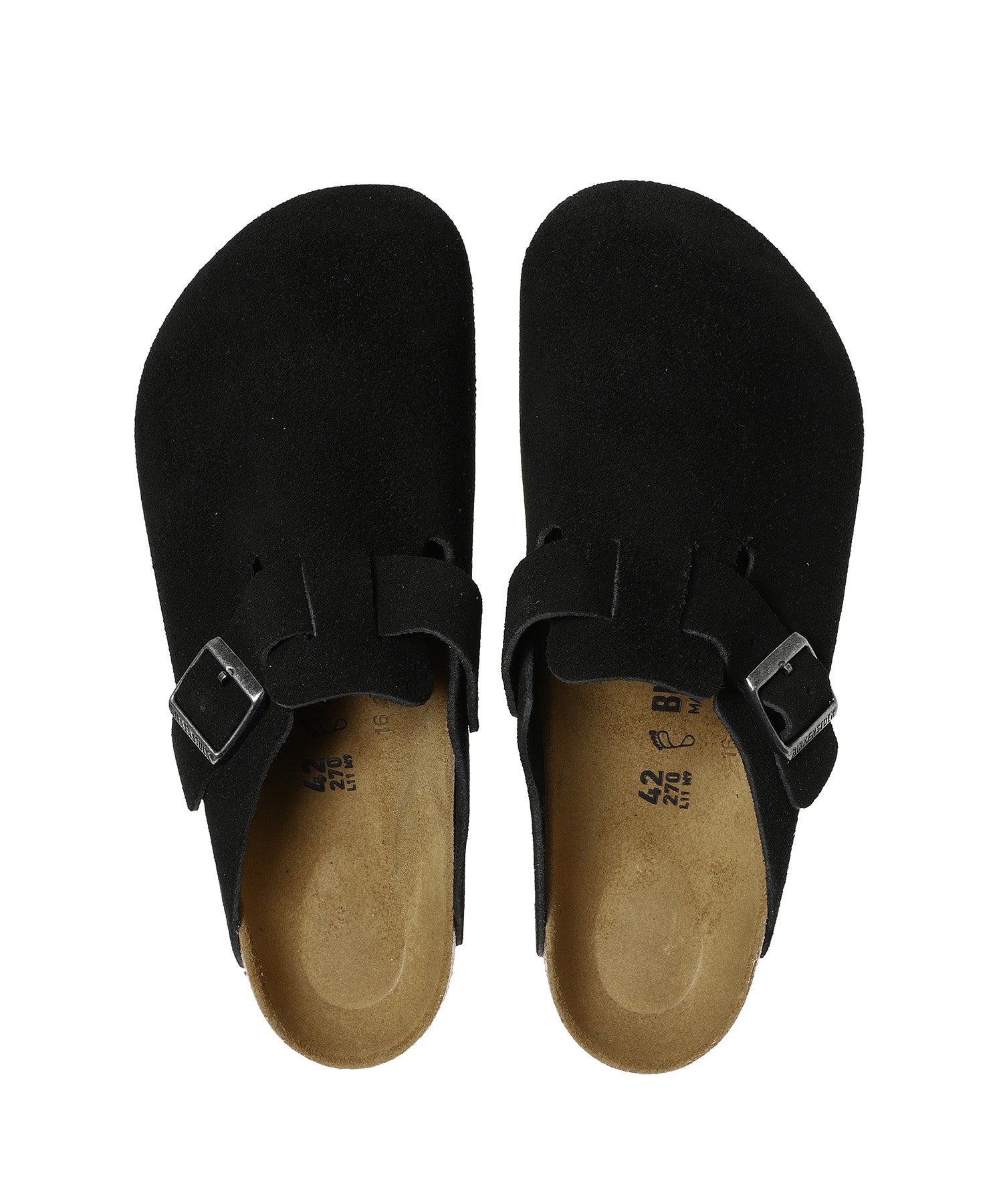 Boston Black