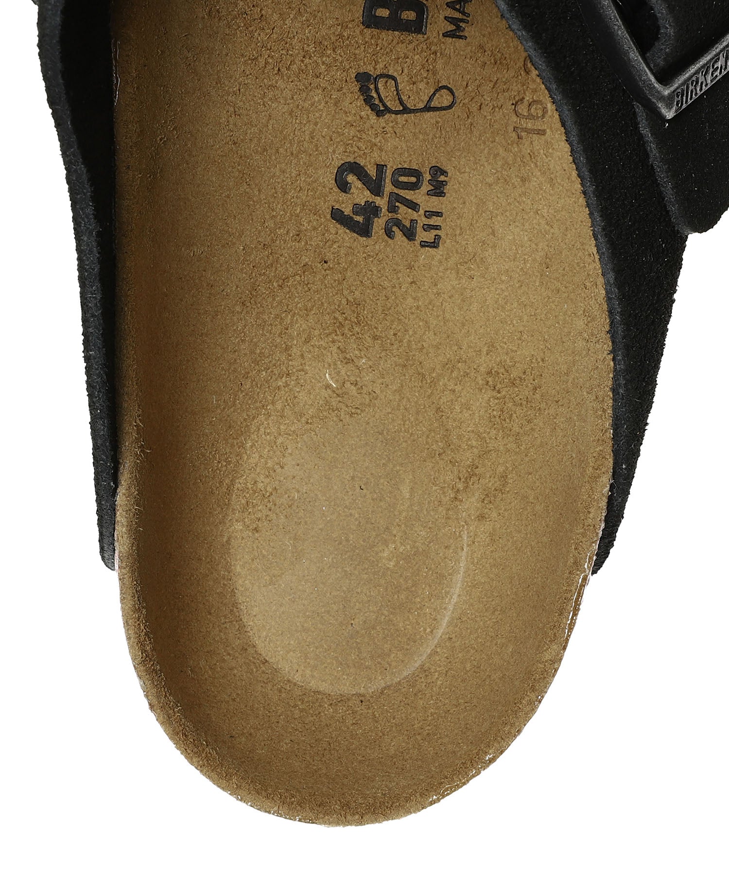 Boston Black