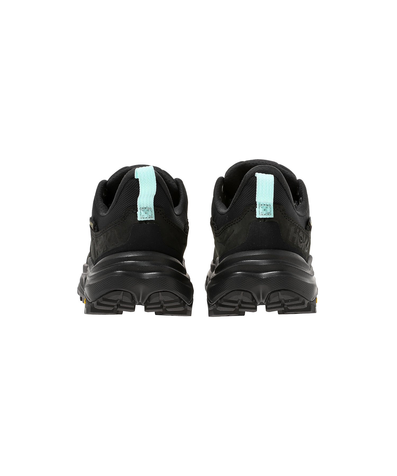 WMNS ANACAPA 2 LOW GTX