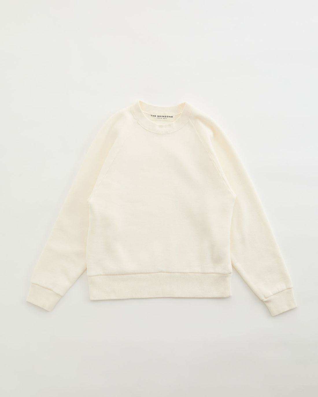 Common Sweat Shirt - 22AMSCU02