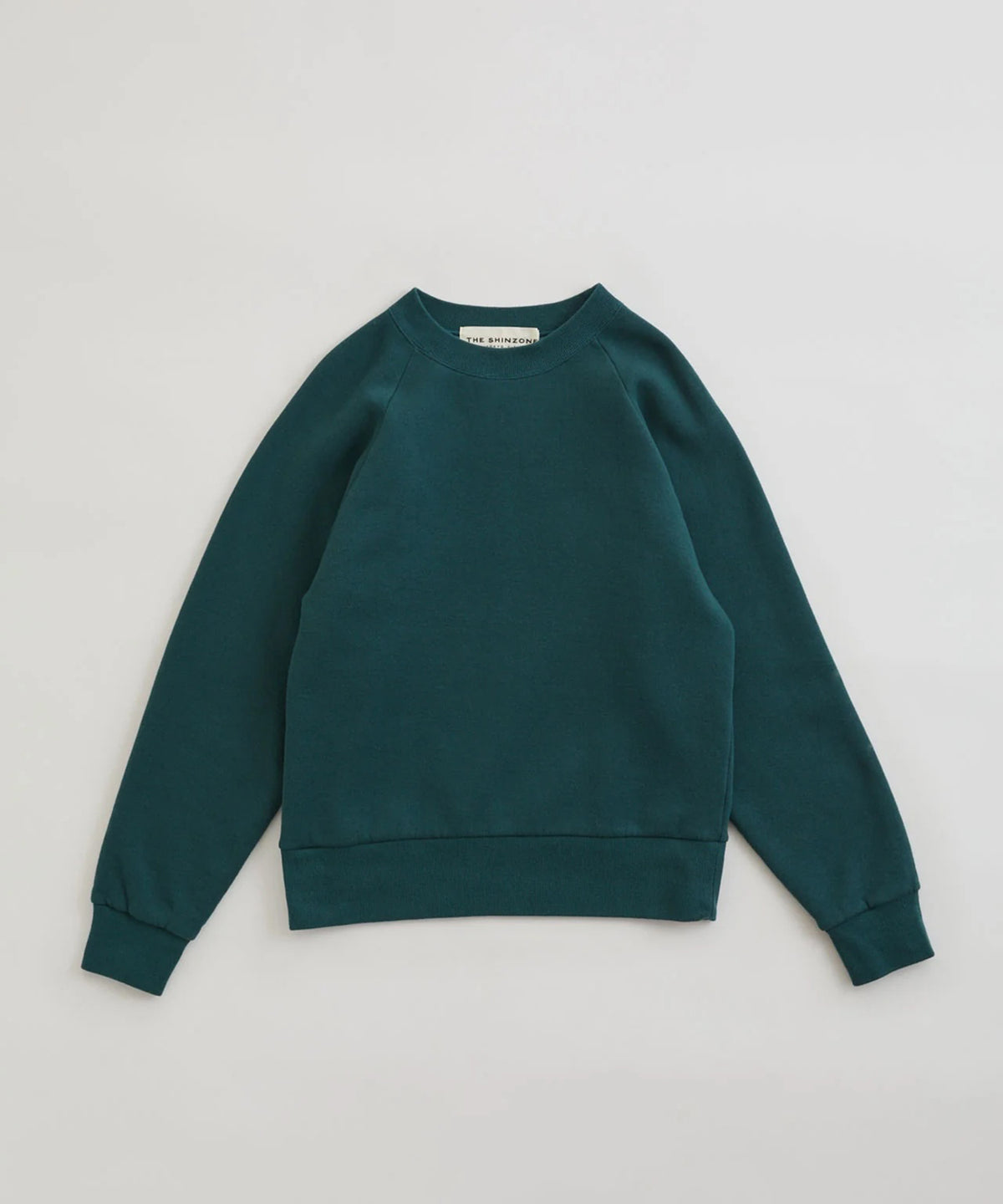 Common Sweat Shirt - 22AMSCU02