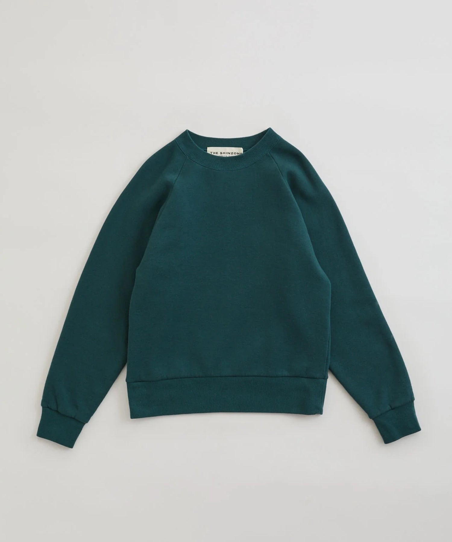 Common Sweat Shirt - 22AMSCU02