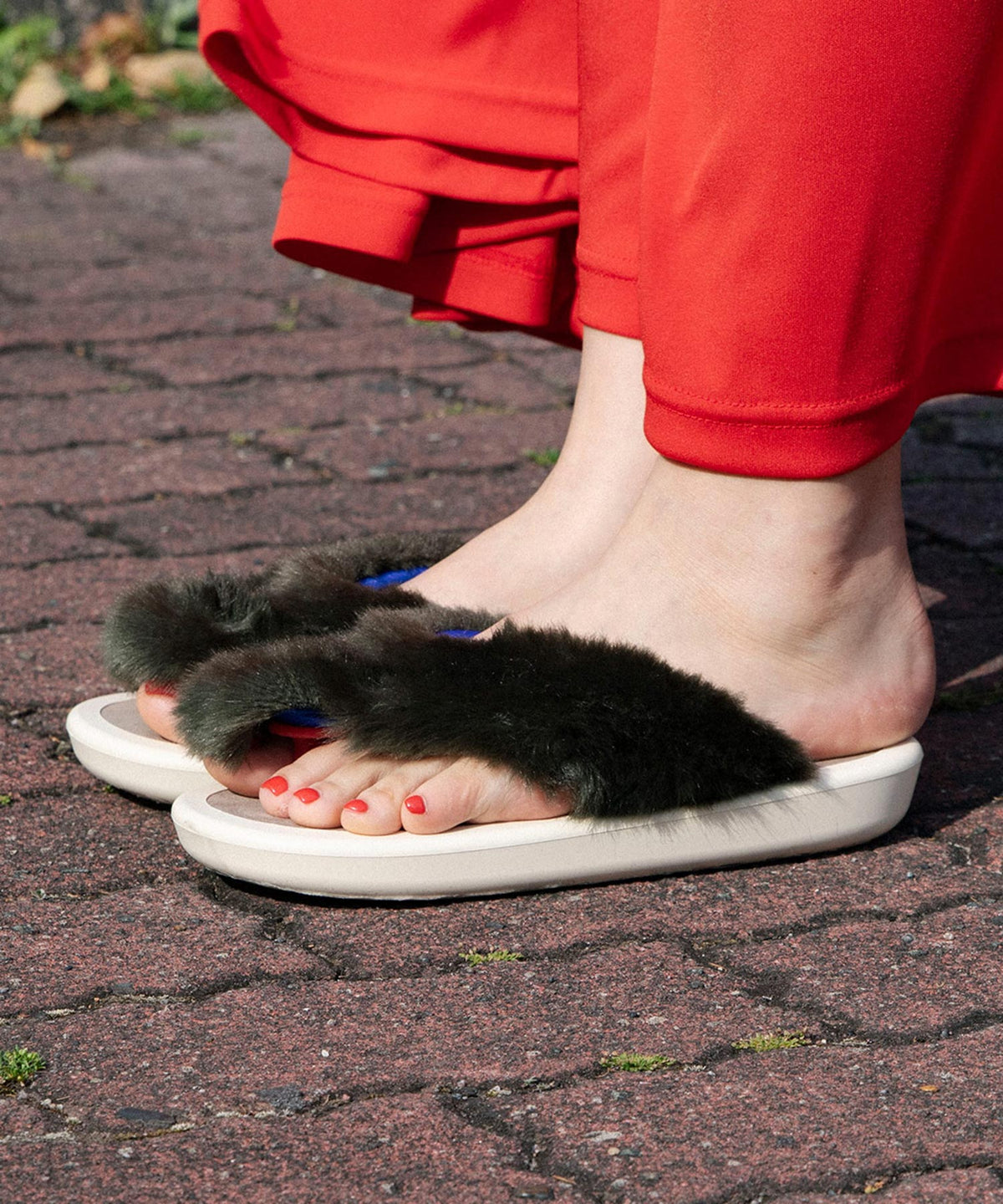 OJOJO 01 別注 / ファーグレー/赤/白/Exベージュ