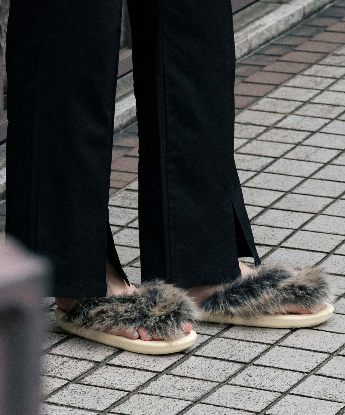 OJOJO 1 / コルク/たぬき/WH/WH