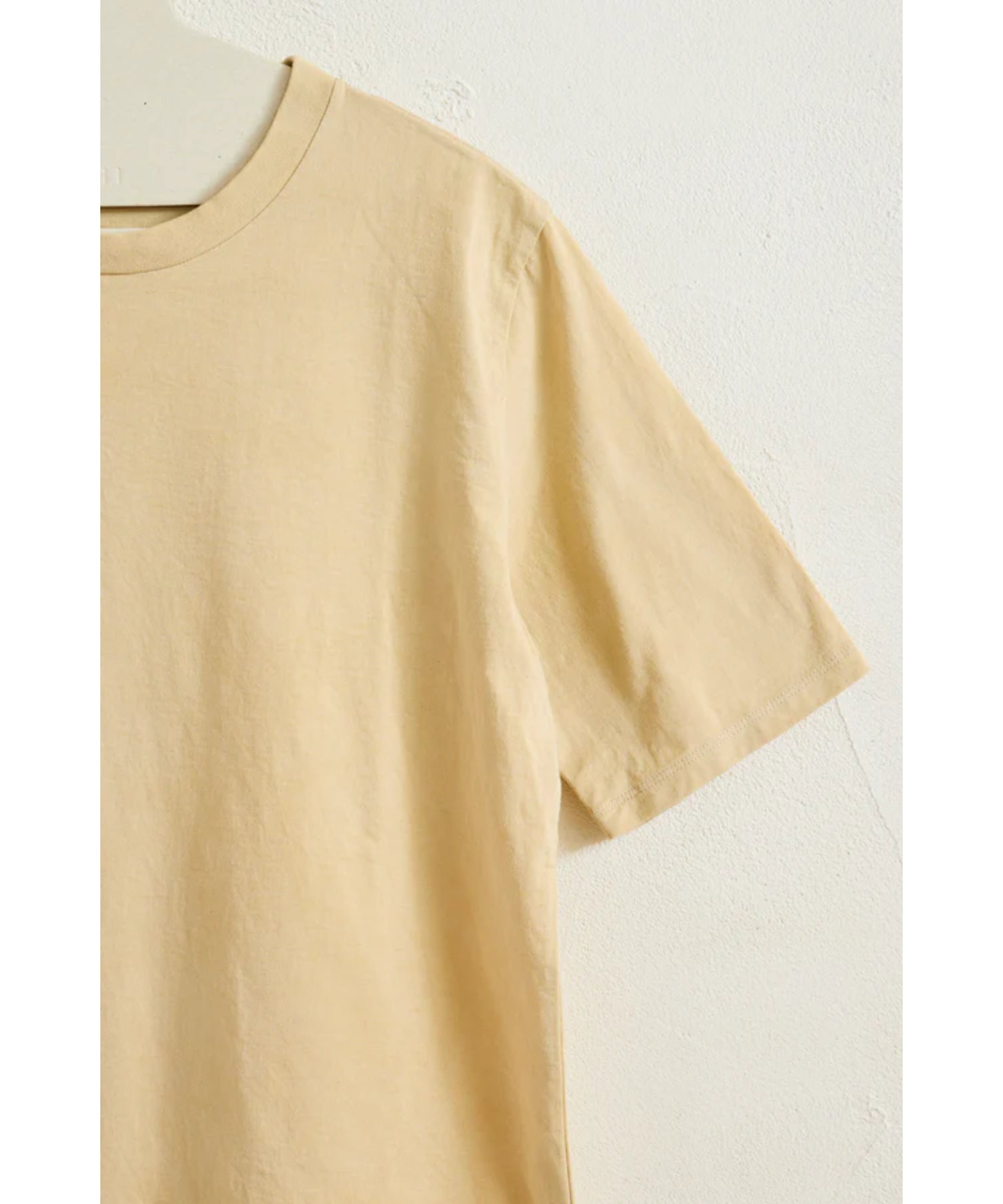 PLANT DYEING TEE