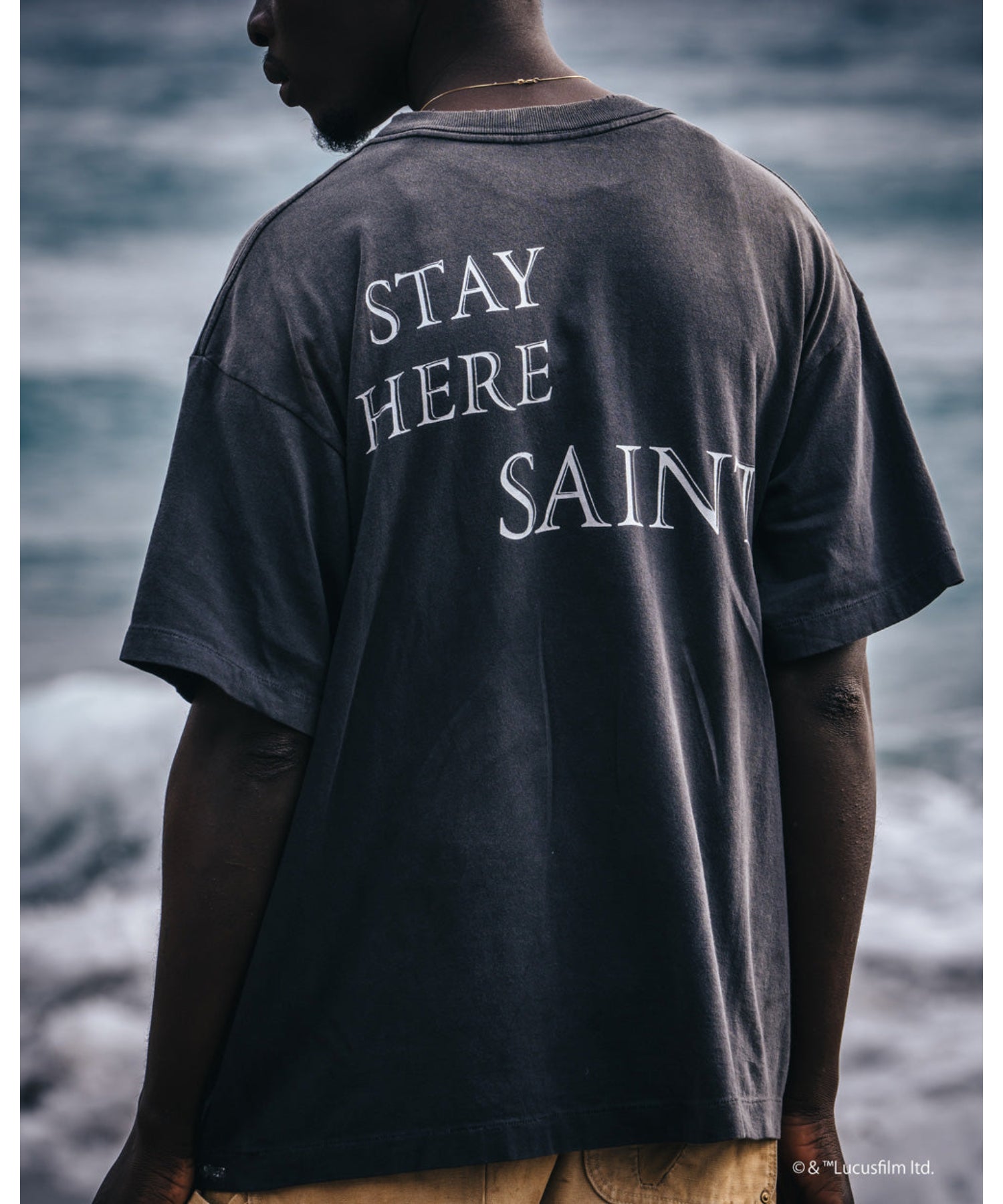 SW_SS TEE / ANAKIN