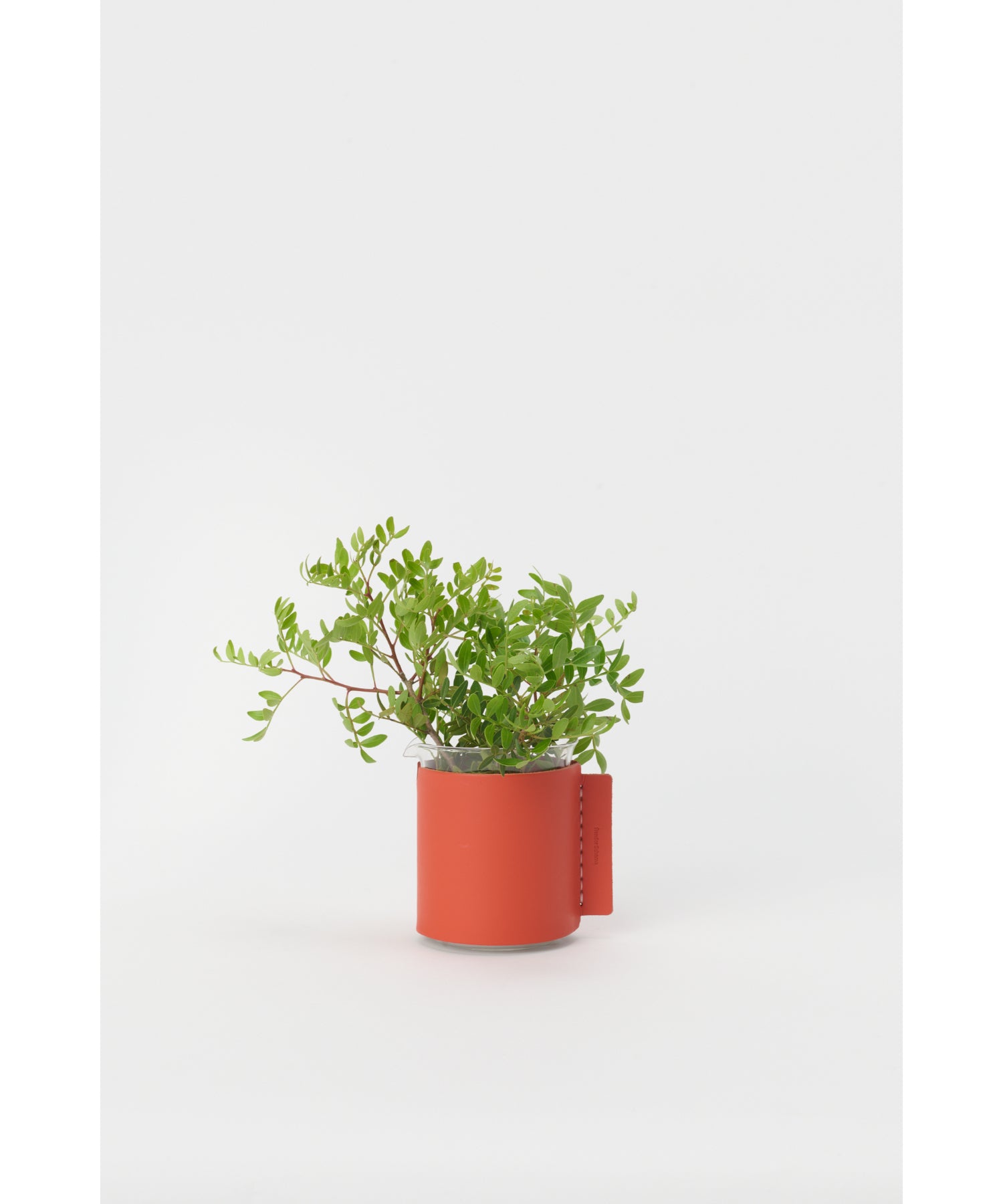 Beaker/500ml