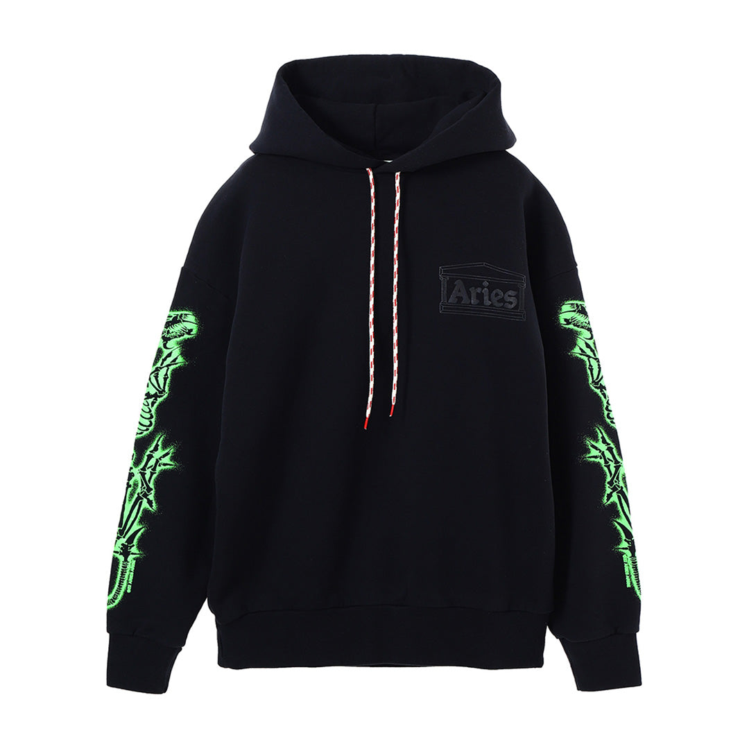 Dragon Skeletor Hoodie