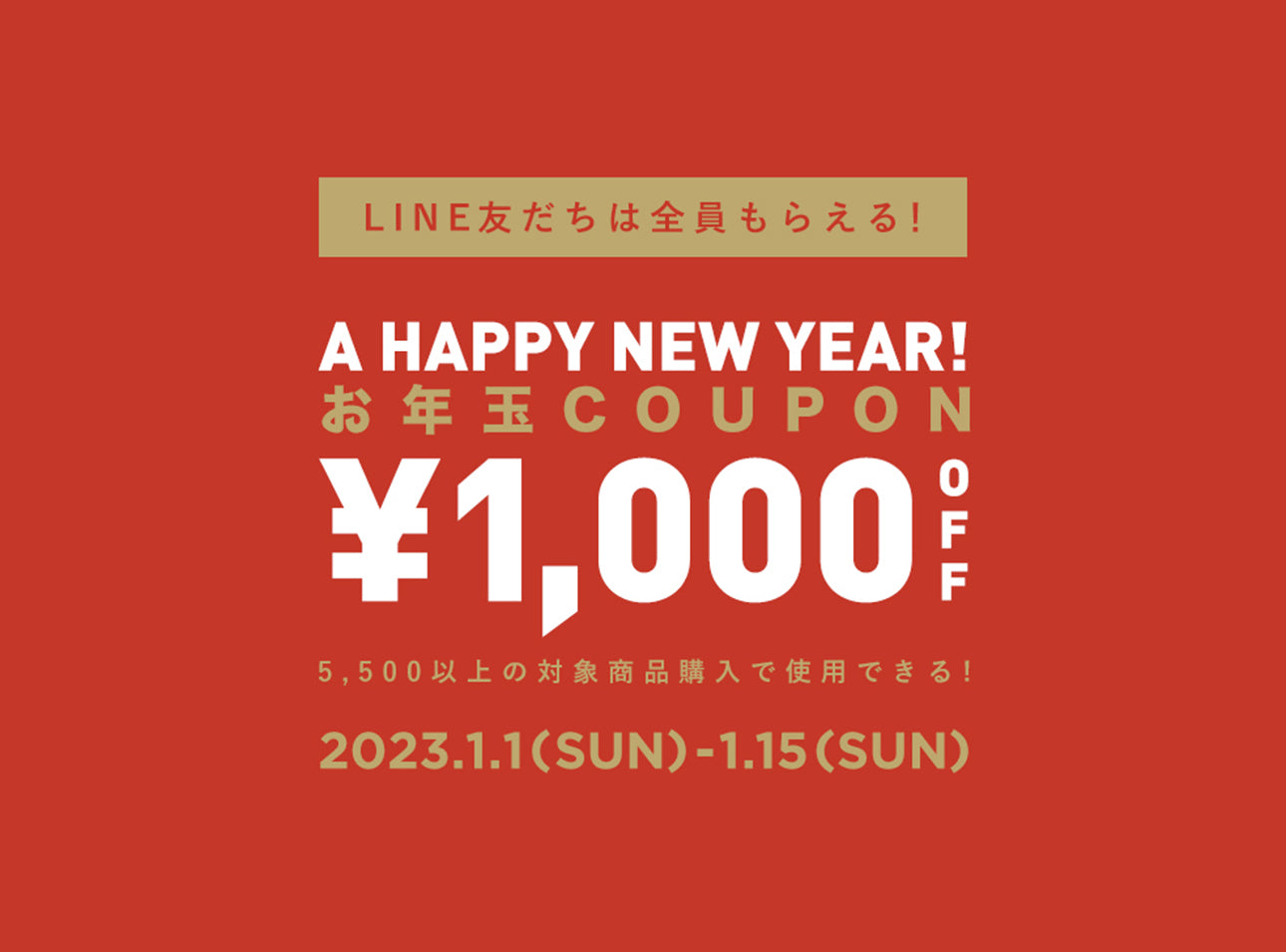 NEW YEAR SPECIAL COUPON CAMPAIGN