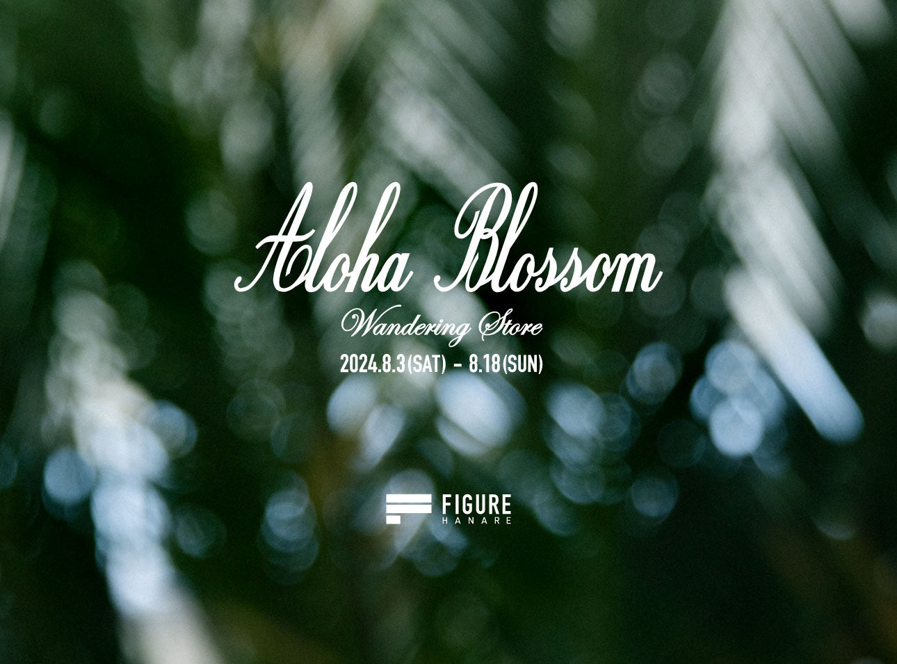 ALOHA BLOSSOM WANDERING STORE at FIGURE HANARE