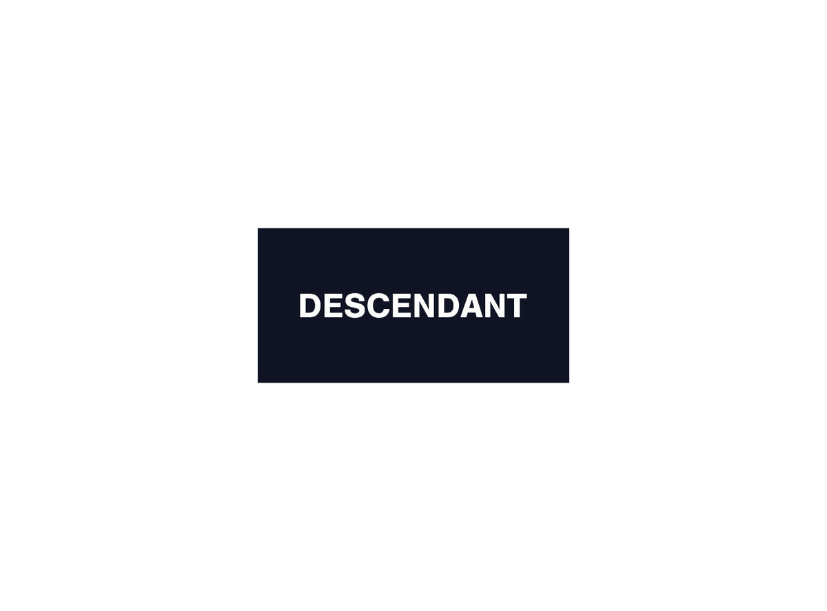 DESCENDANT 2025 Spring/Summer Collection | FIGURE ONLINE