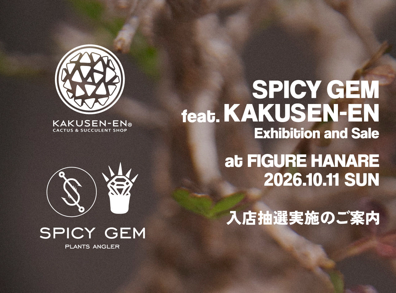 SPICY GEM feat. KAKUSEN-EN  at FIGURE HANARE