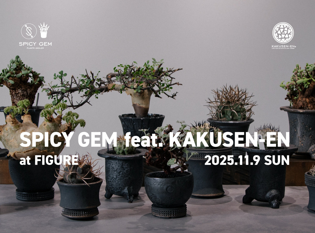 SPICY GEM feat. KAKUSEN-EN  at FIGURE
