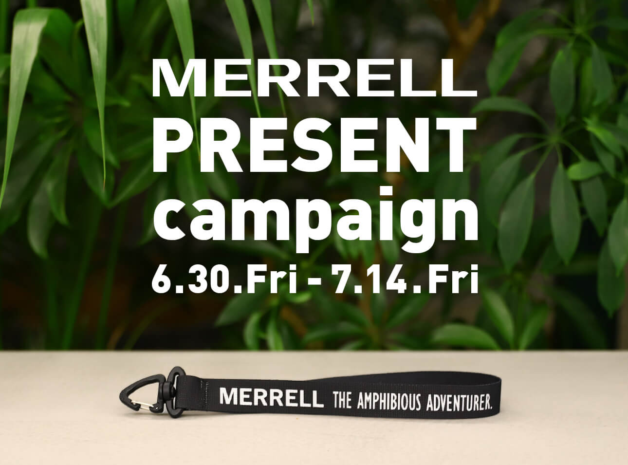 MERRELL NOVELTY PRESENT CAMPAIGN