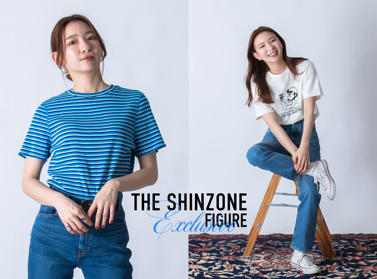 THE SHINZONE  FIGURE EXCLUSIVE COLLECTION