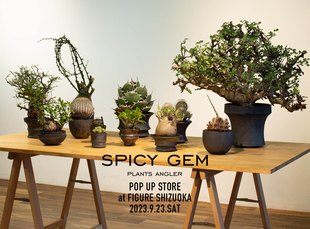 spicy gem POP UP STORE at FIGURE SHIZUOKA
