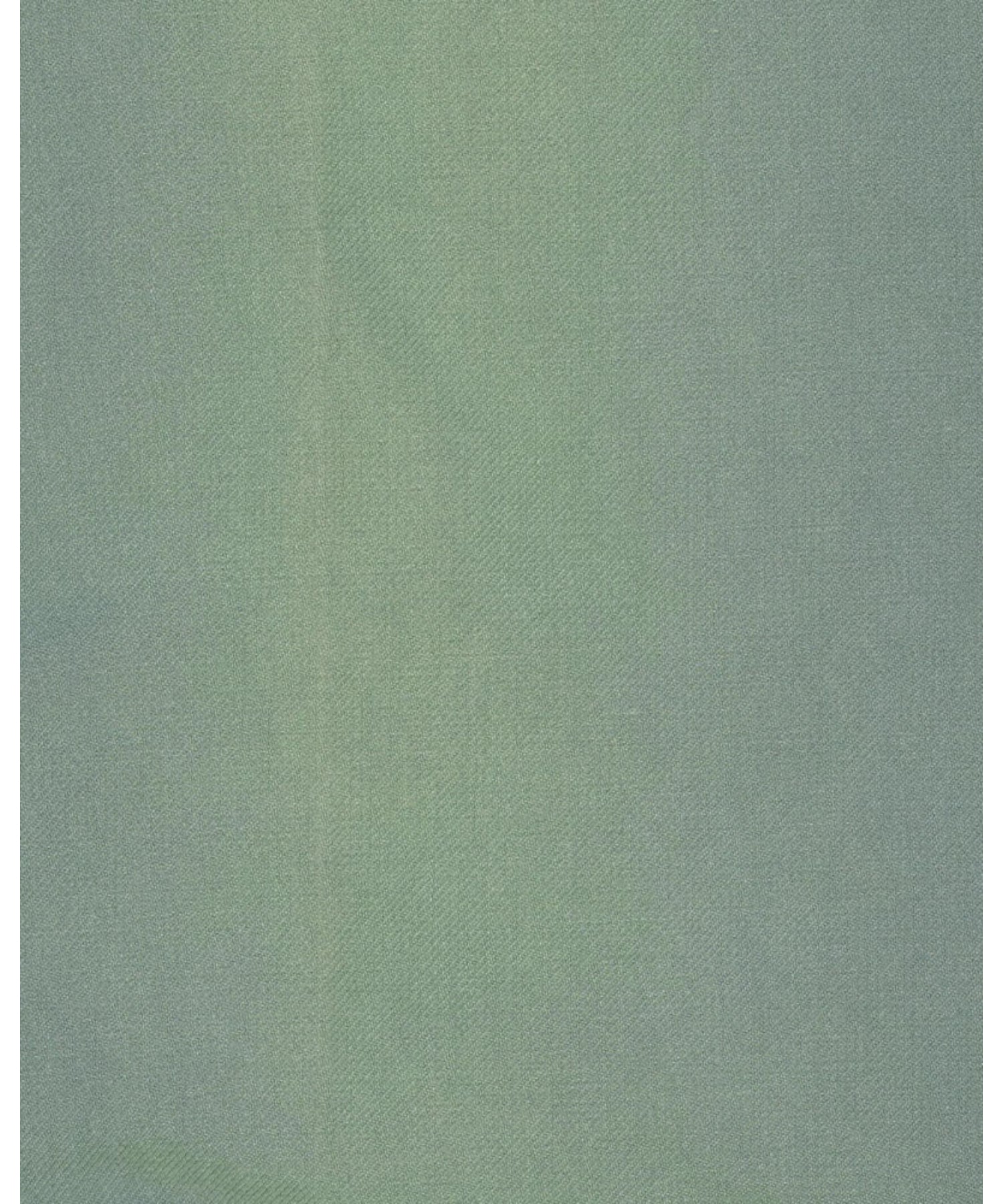 BROADER CHINO DMGD