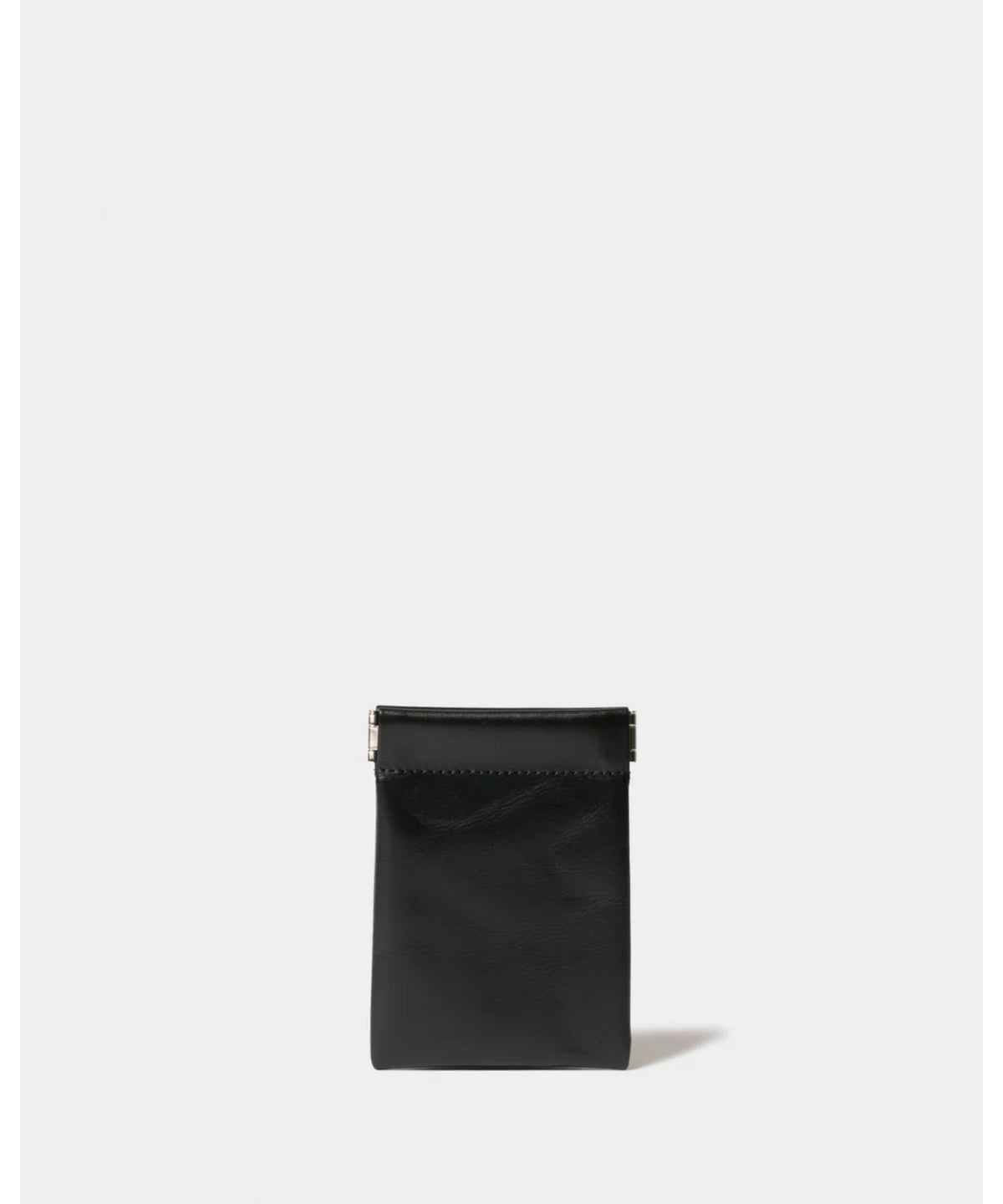 color leather small case