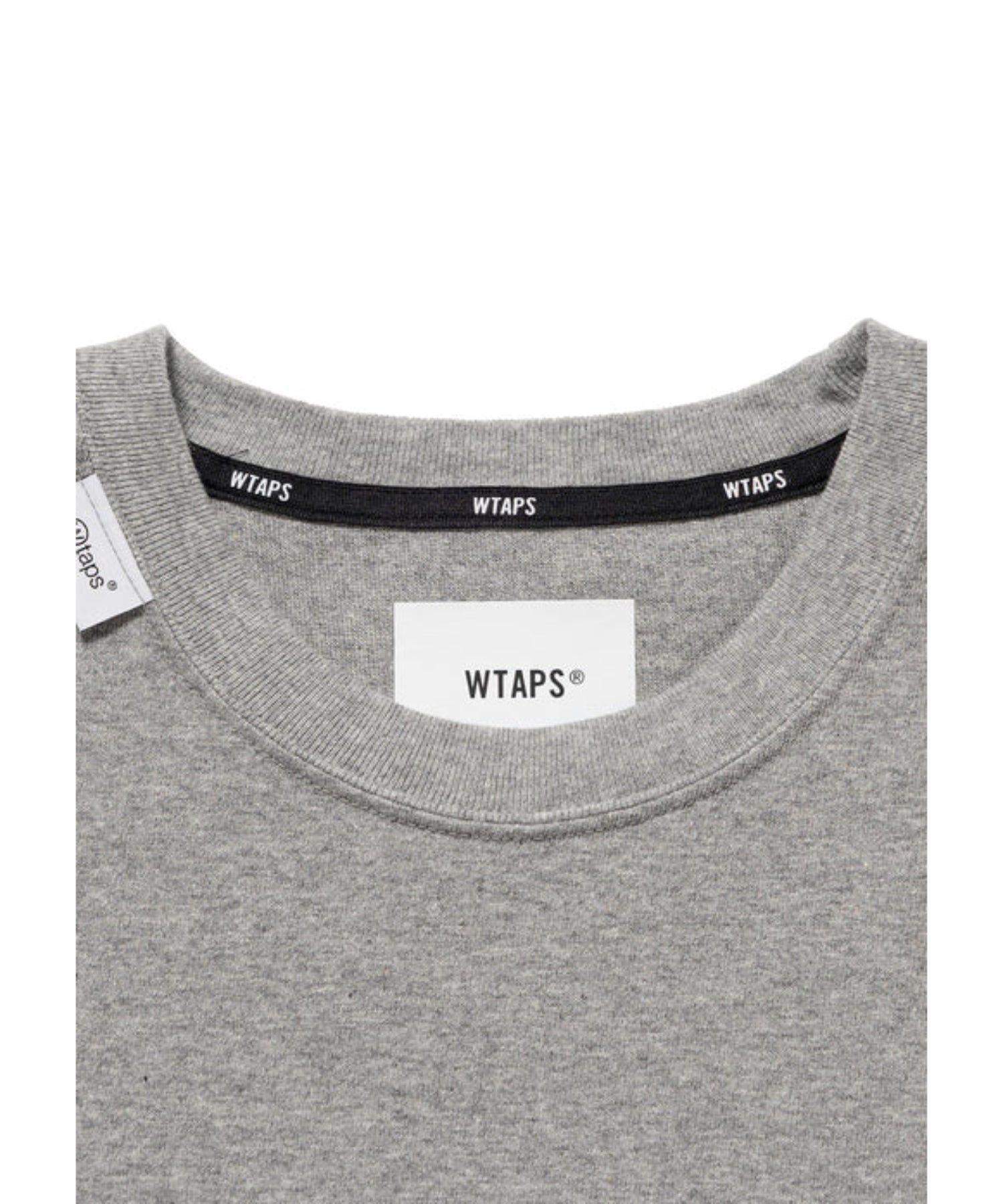 INSECT / SS / COTTON