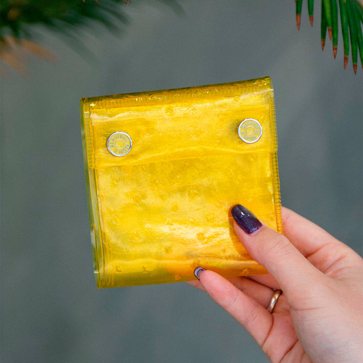 nothing to hide vinyl ostrich card wallet - beautiful people