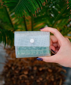 nothing to hide apple mini wallet