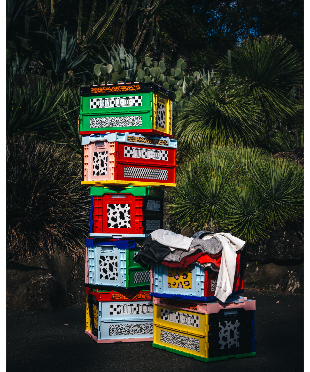 BOX / MULTI（バラ売り）