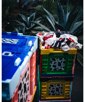 BOX / MULTI（バラ売り）