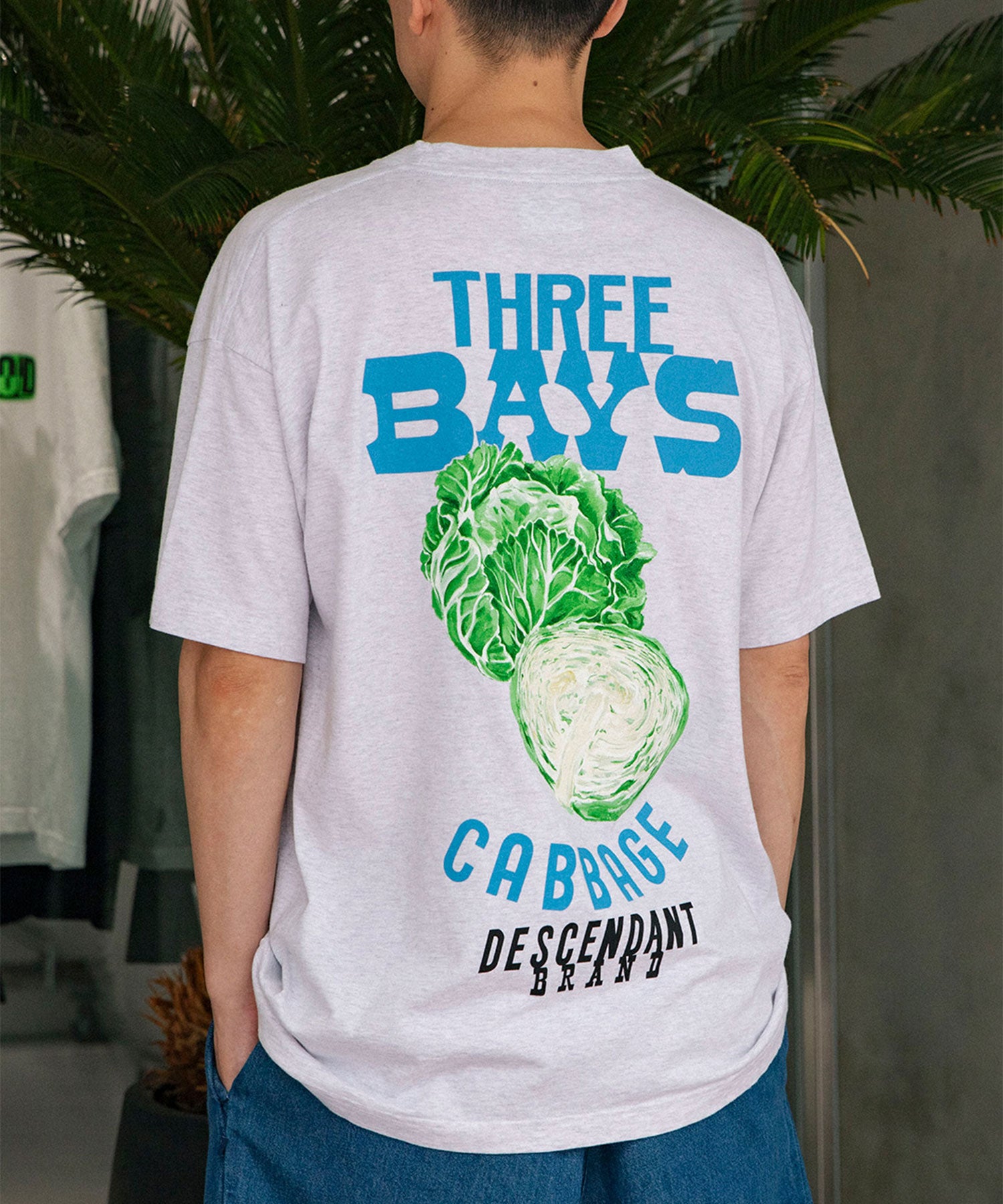 3BAYS SS