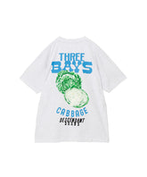 3BAYS SS