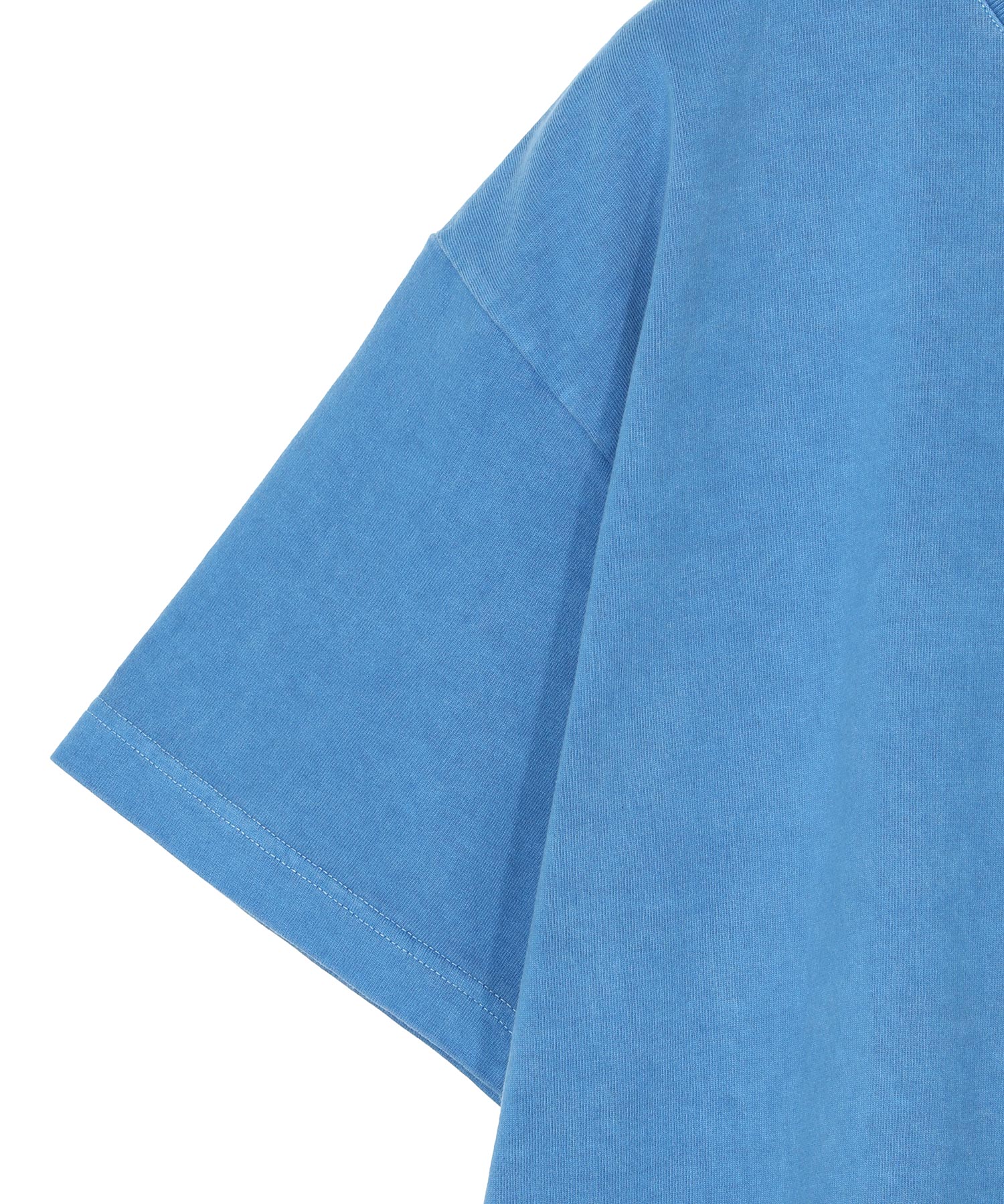 VIEW ORGANIC COTTON SS PIGMENT DYE
