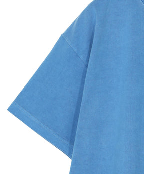 VIEW ORGANIC COTTON SS PIGMENT DYE