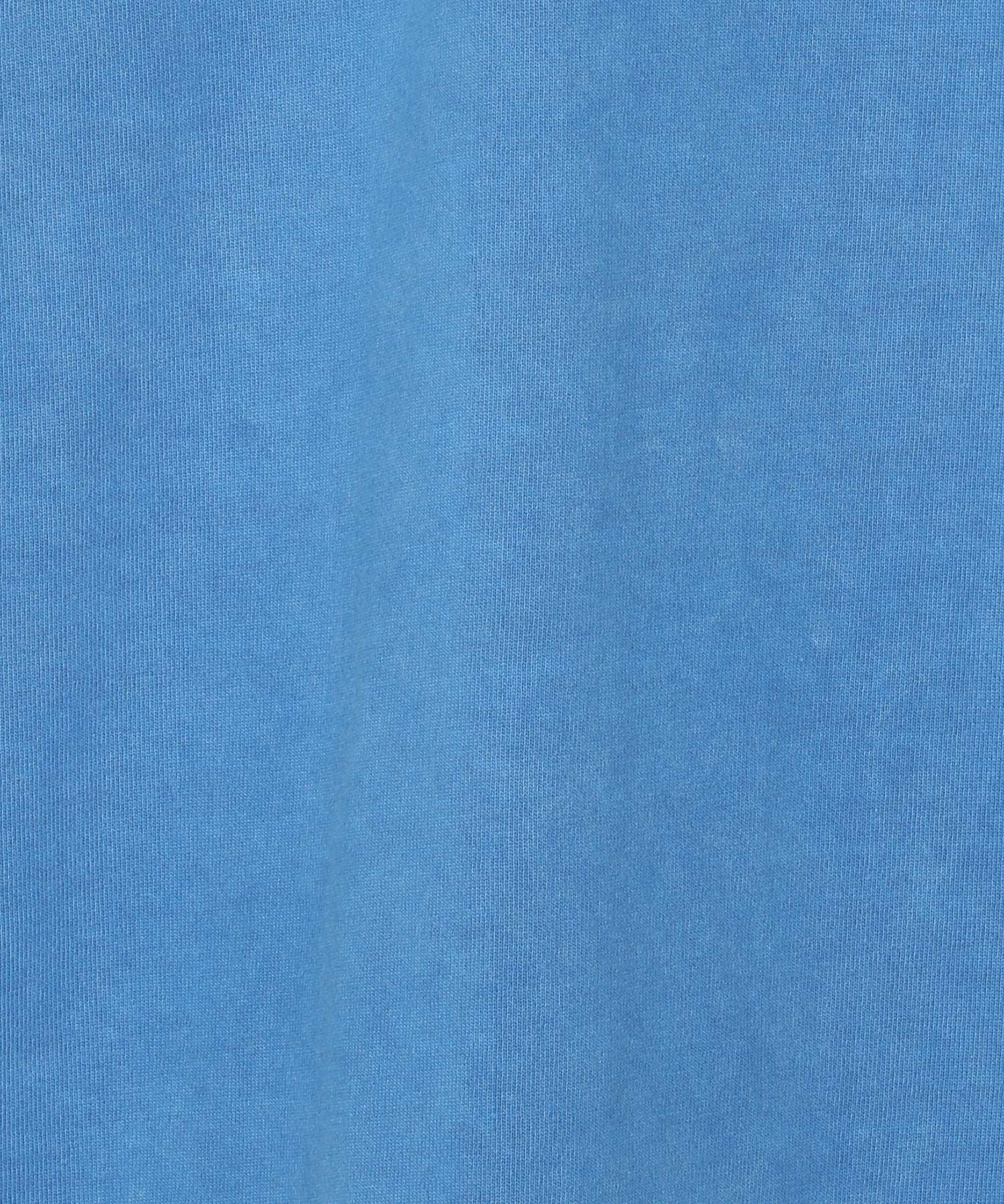 VIEW ORGANIC COTTON SS PIGMENT DYE