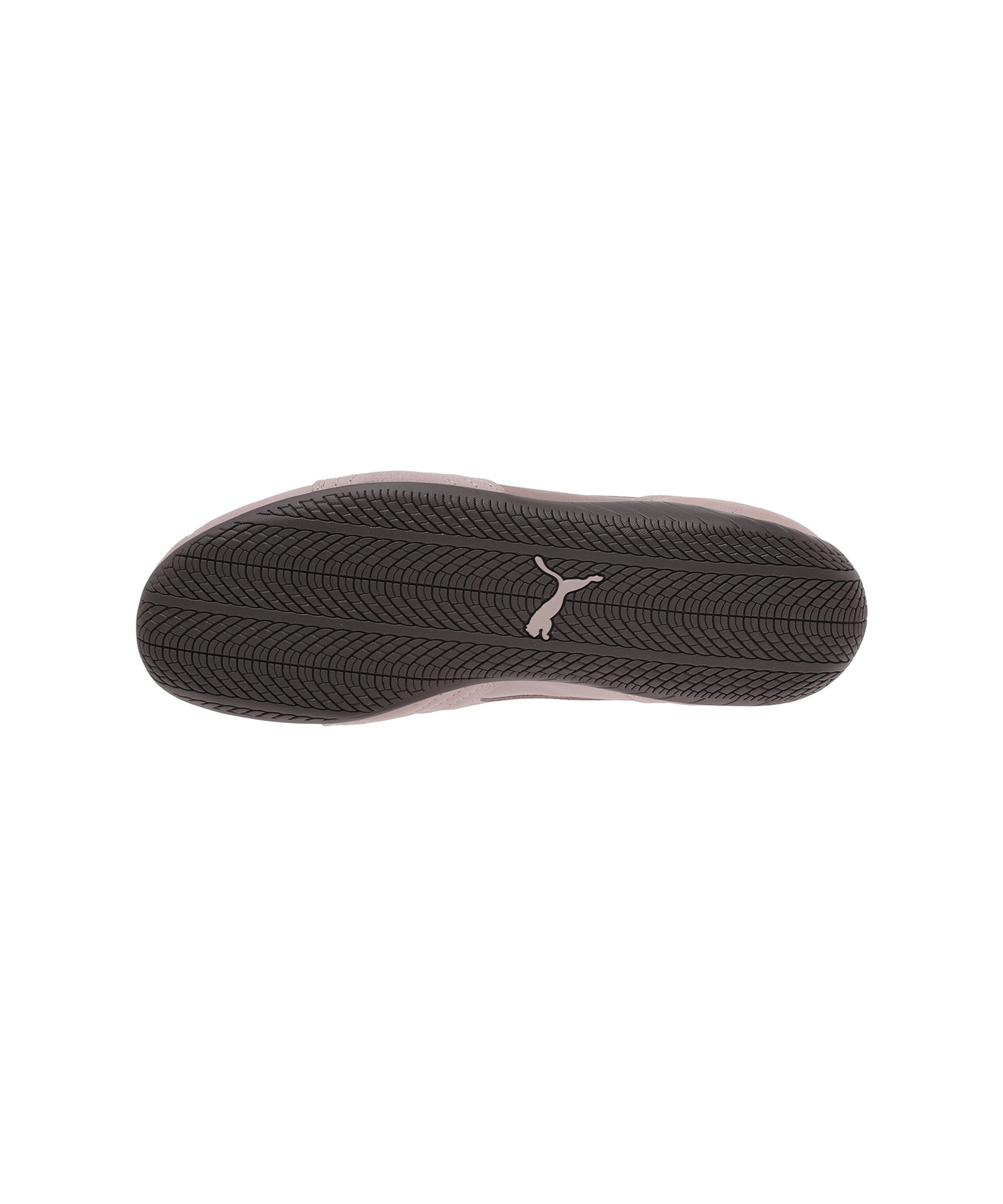 SPEEDCAT ETOILE WNS