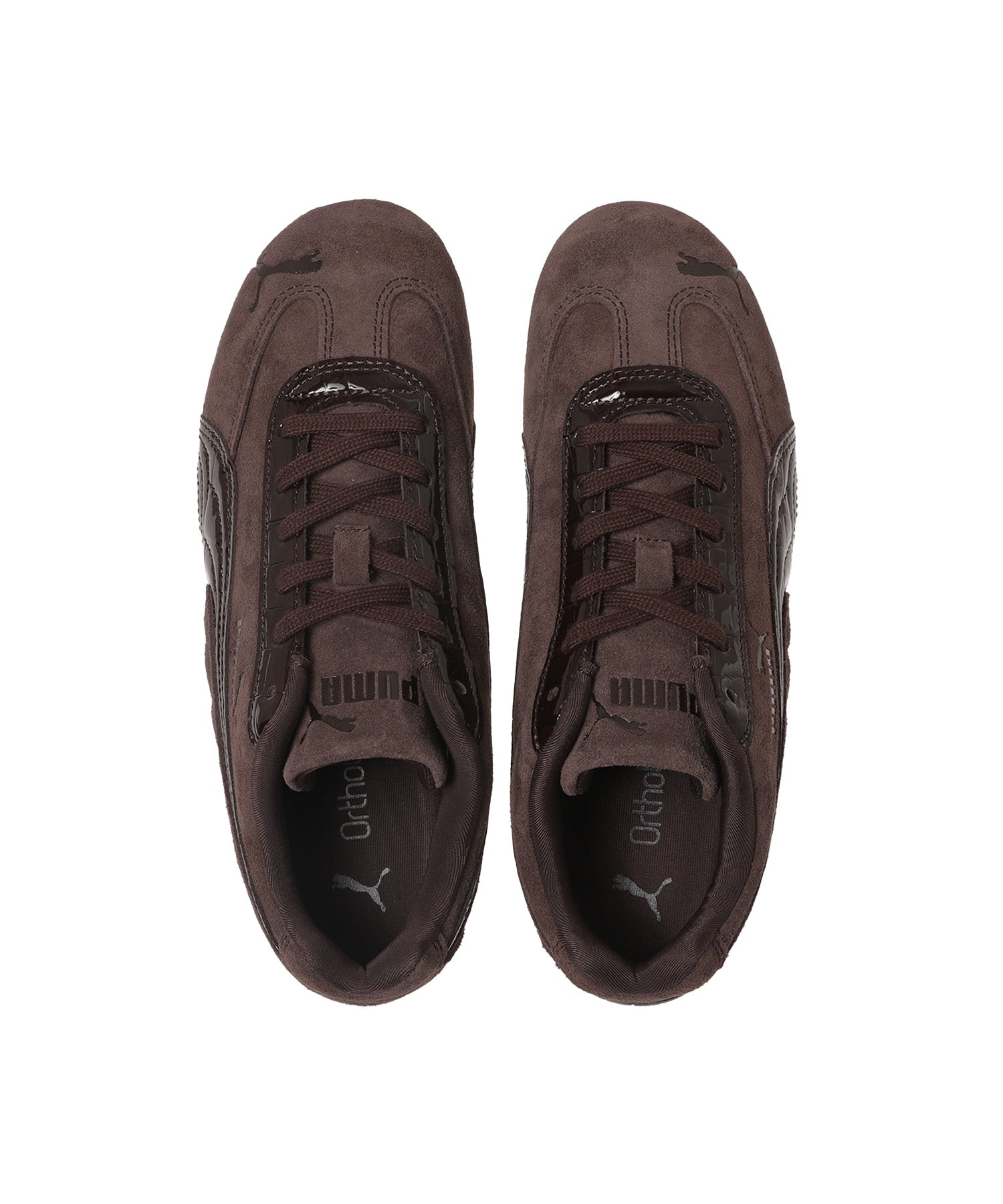 SPEEDCAT CROC WNS
