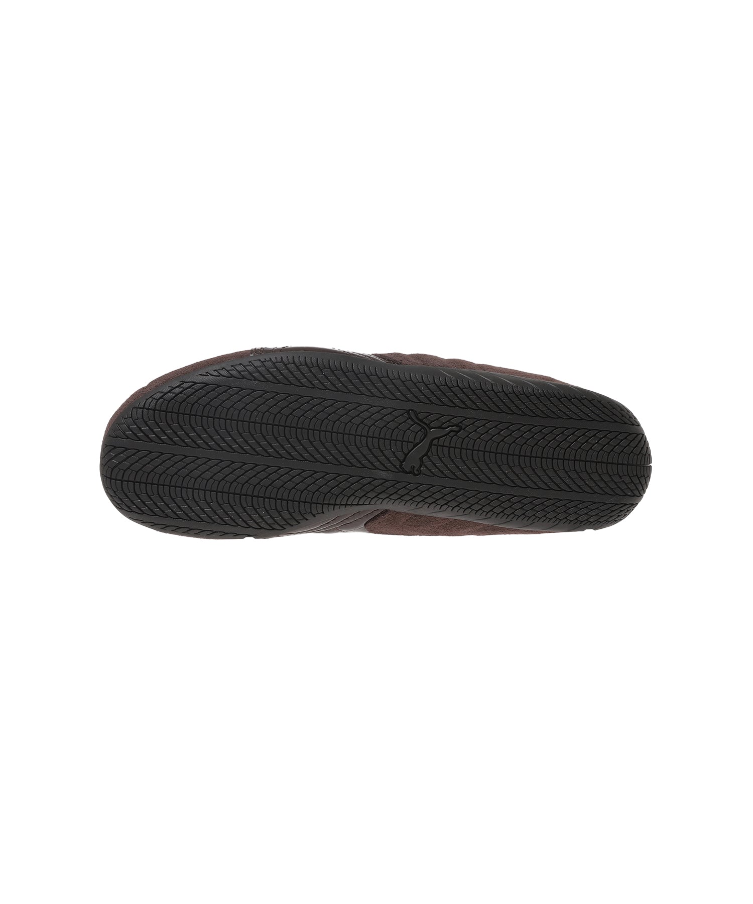 SPEEDCAT CROC WNS