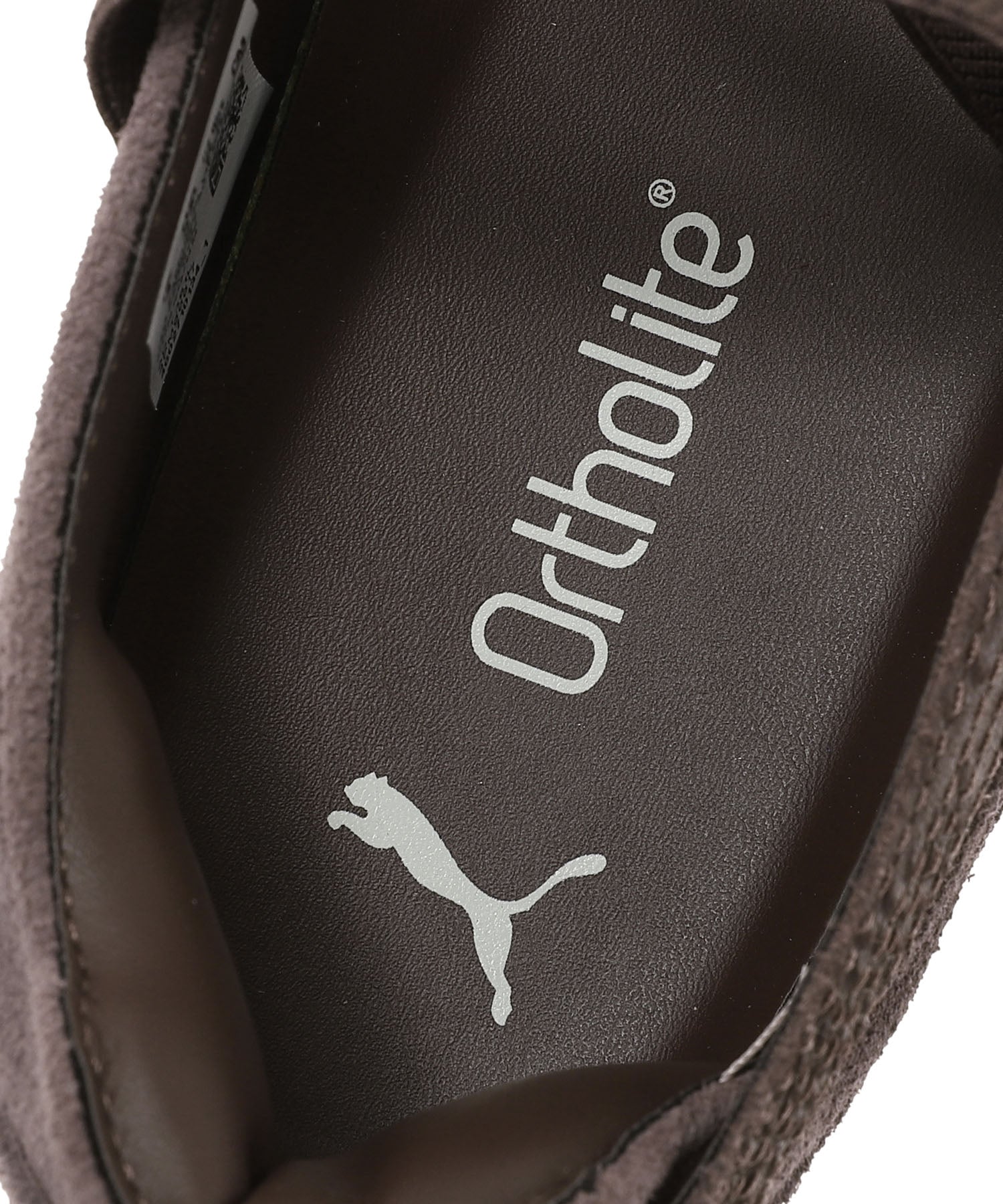 SPEEDCAT BALLET PYTHON WNS