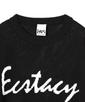 Ecstacy Crew Neck Knit