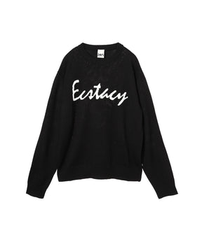 Ecstacy Crew Neck Knit