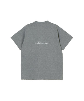 T2
