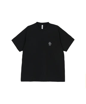 T2