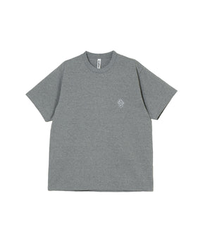 T2