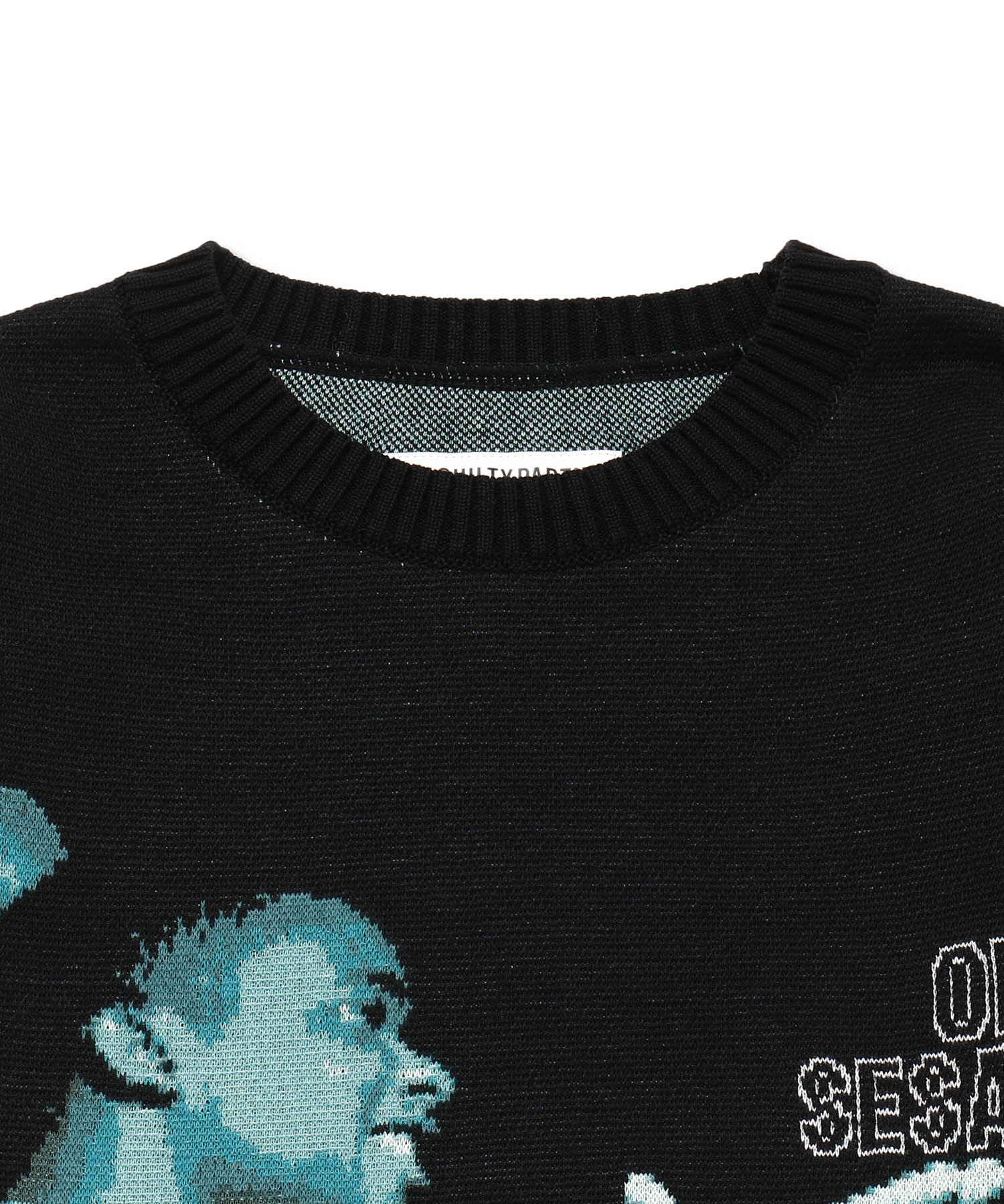 BLUE NOTE / JACQUARD SWEATER