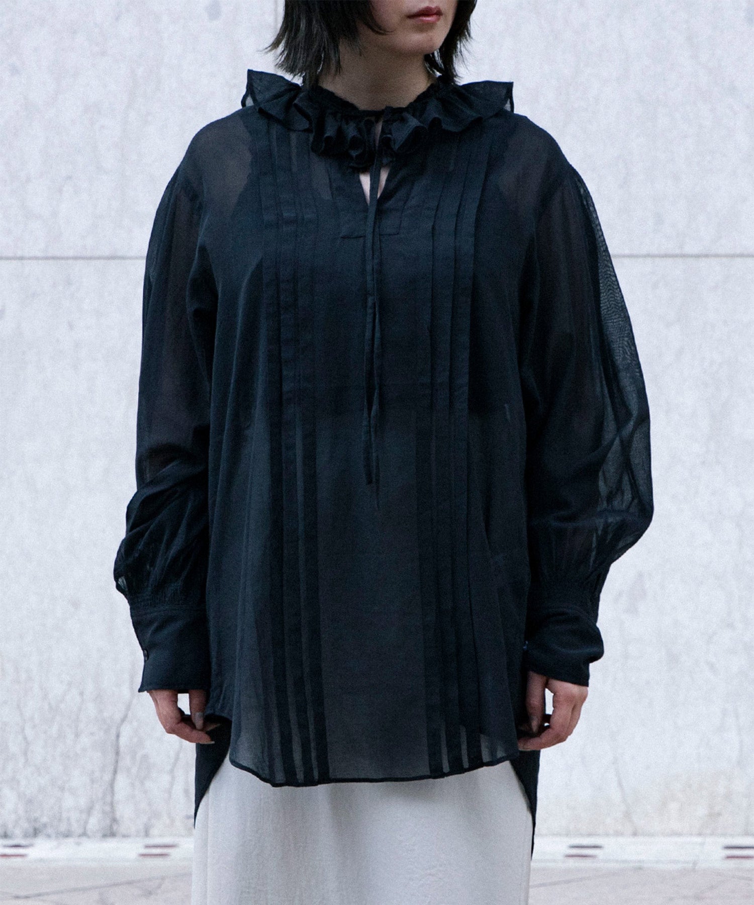 Back Embroidery Sheer Blouse