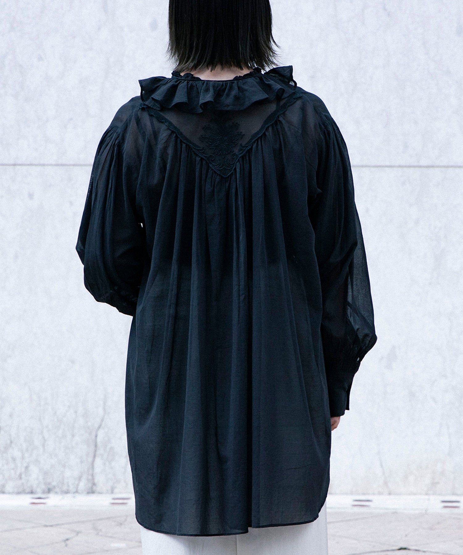 Back Embroidery Sheer Blouse