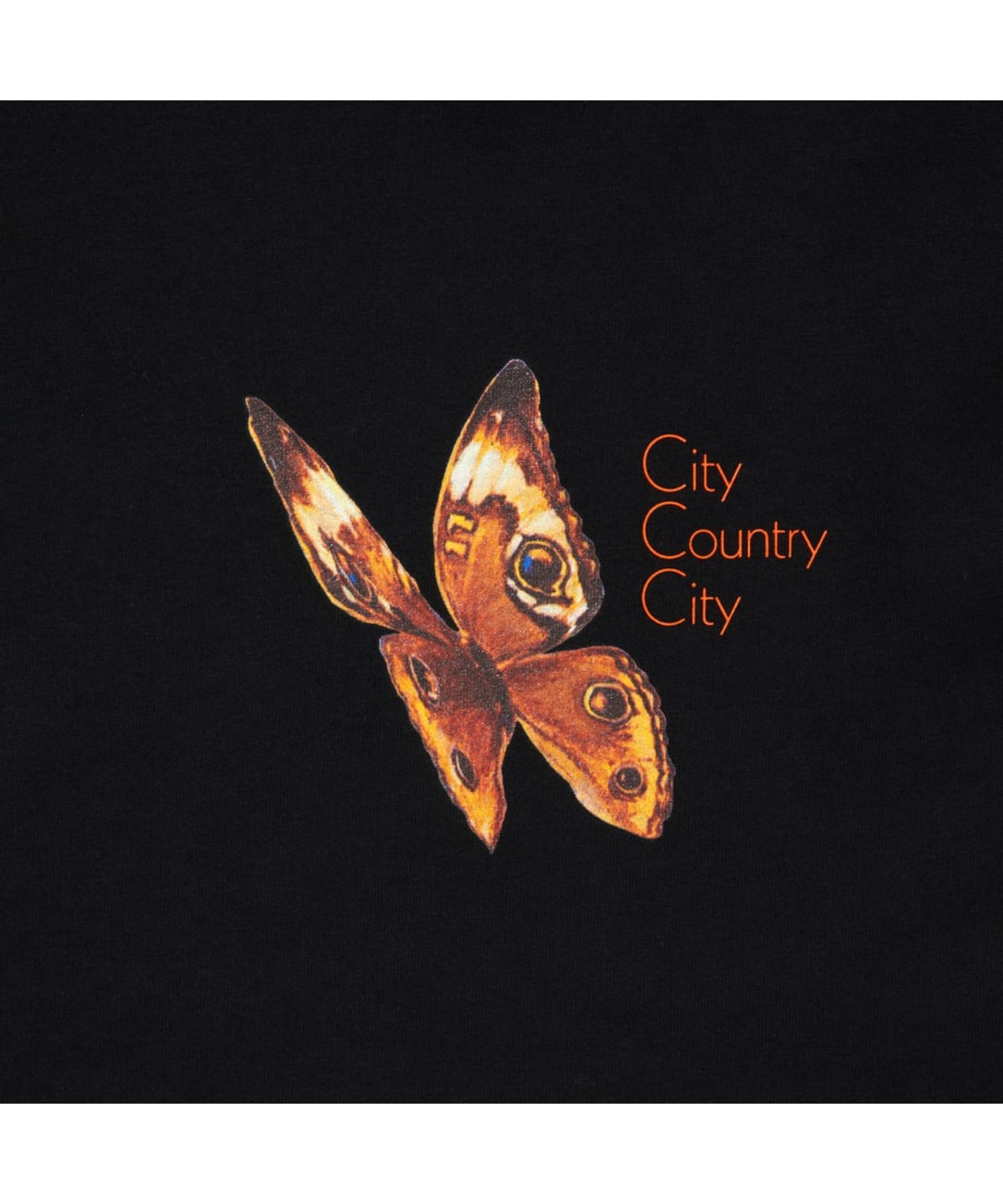 CITY COUNTRY CITY x LONNIE LISTON SMITH_COTTON T-SHIRT_Reflections Of A Golden Dream