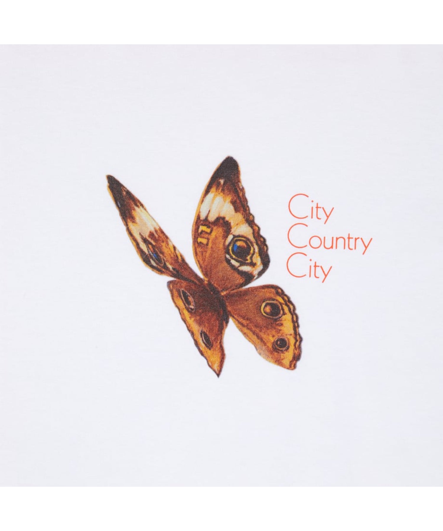 CITY COUNTRY CITY x LONNIE LISTON SMITH_COTTON T-SHIRT_Reflections Of A Golden Dream
