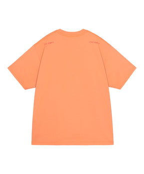 MD Obscured T