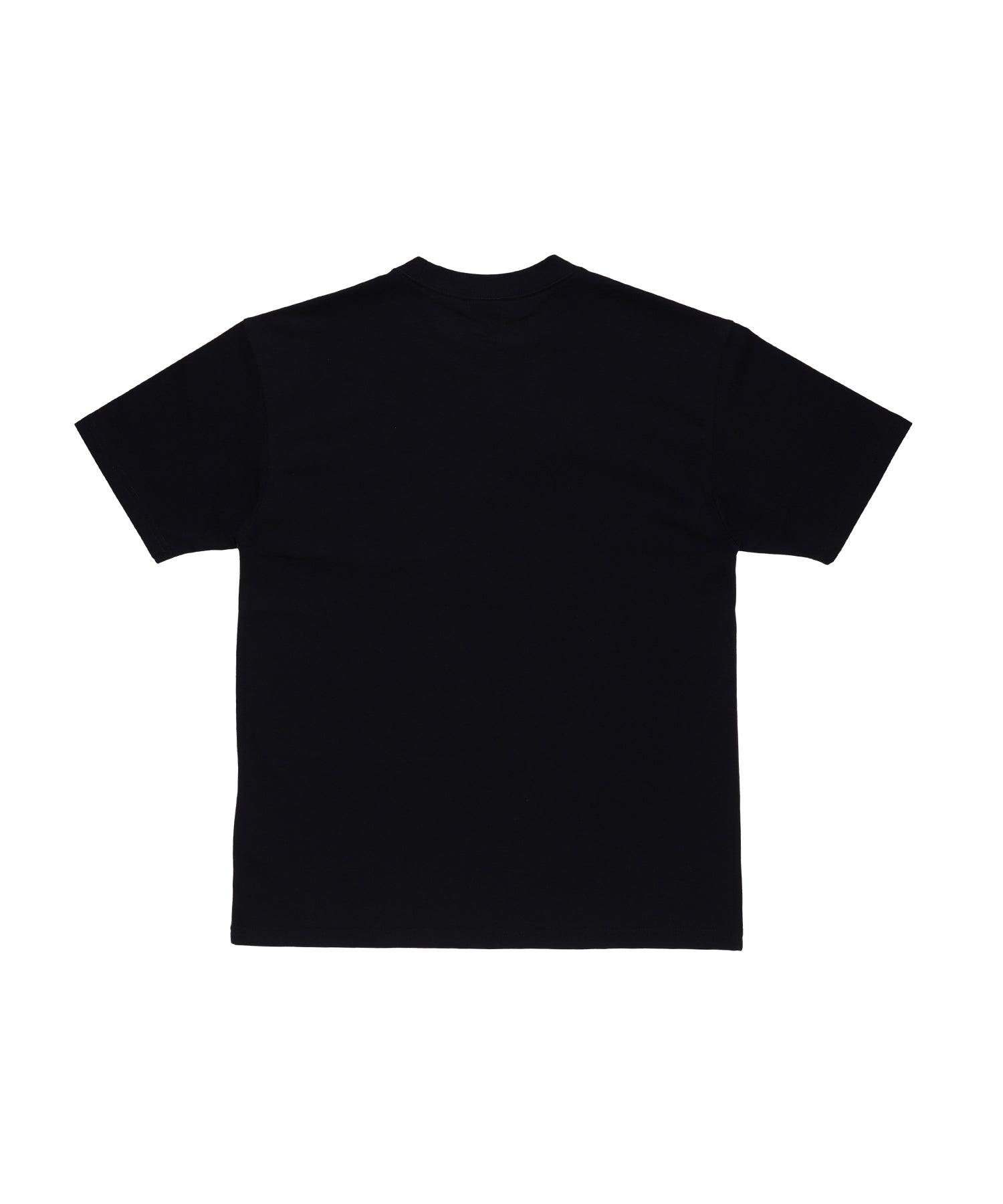 ACG NRG LBR LUNGS S/S TEE